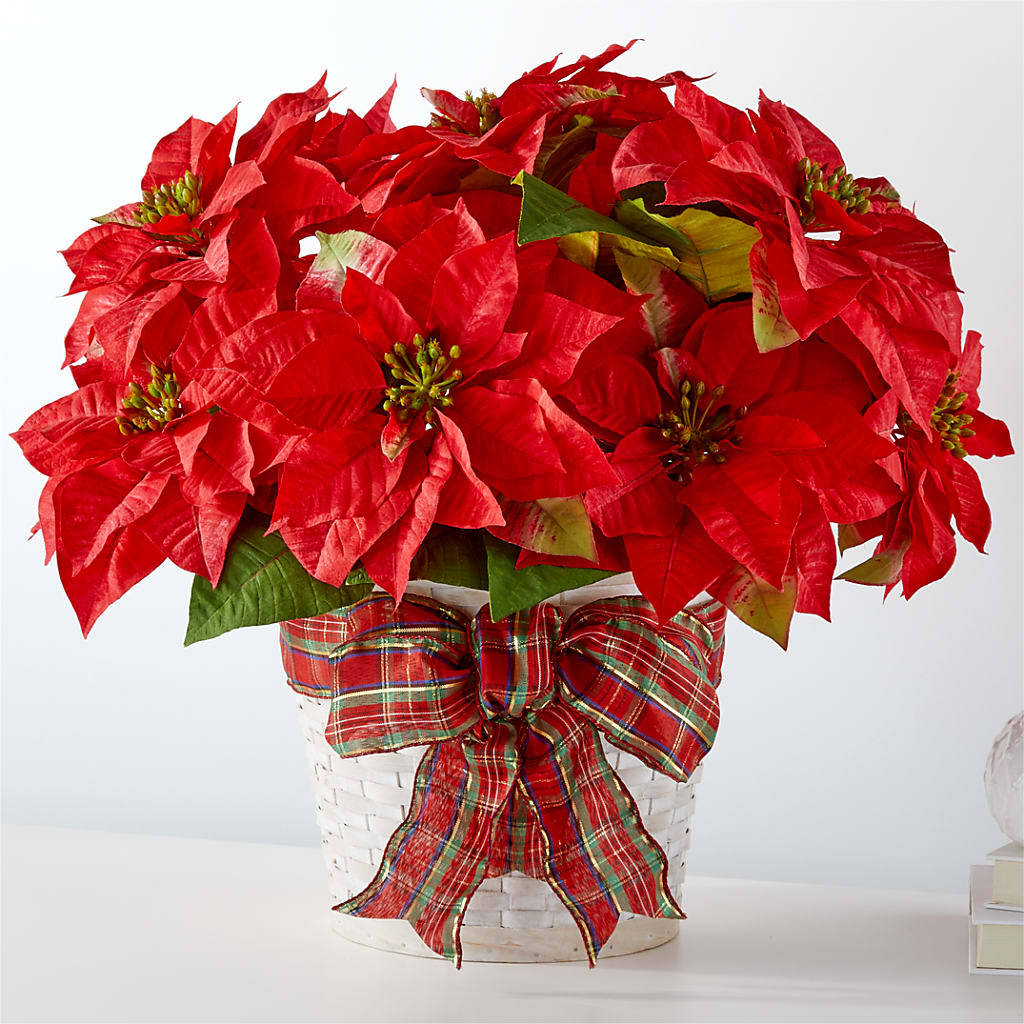 Happiest Holidays Poinsettia – Maison Blooms, Wesley Chapel FL