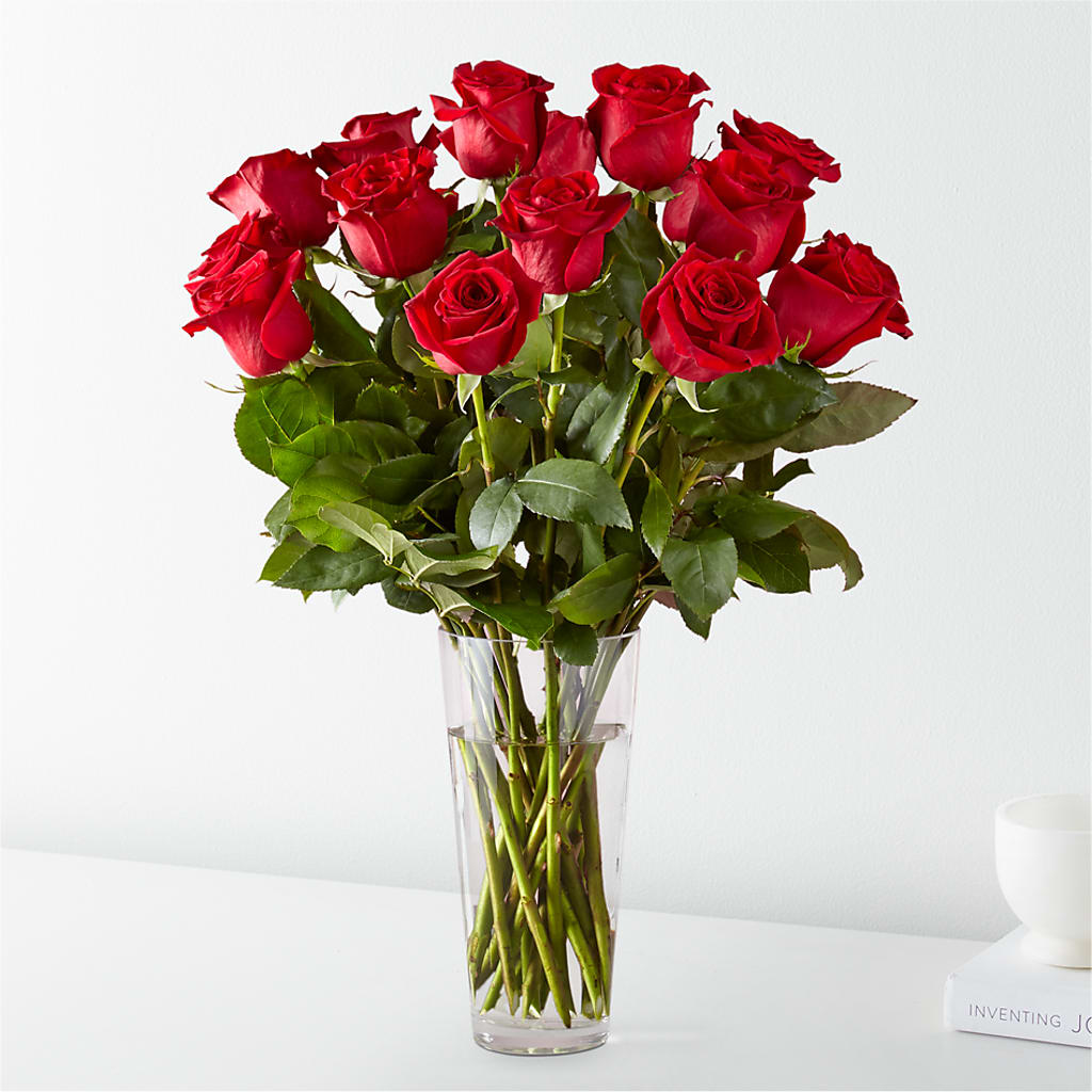 Long Stem Red Rose Bouquet – Maison Blooms, Wesley Chapel FL