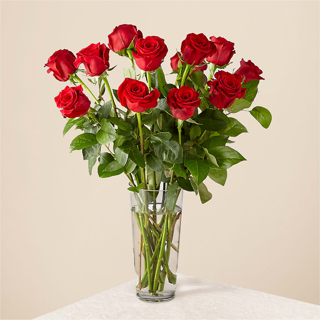 Long Stem Red Rose Bouquet – Maison Blooms, Wesley Chapel FL