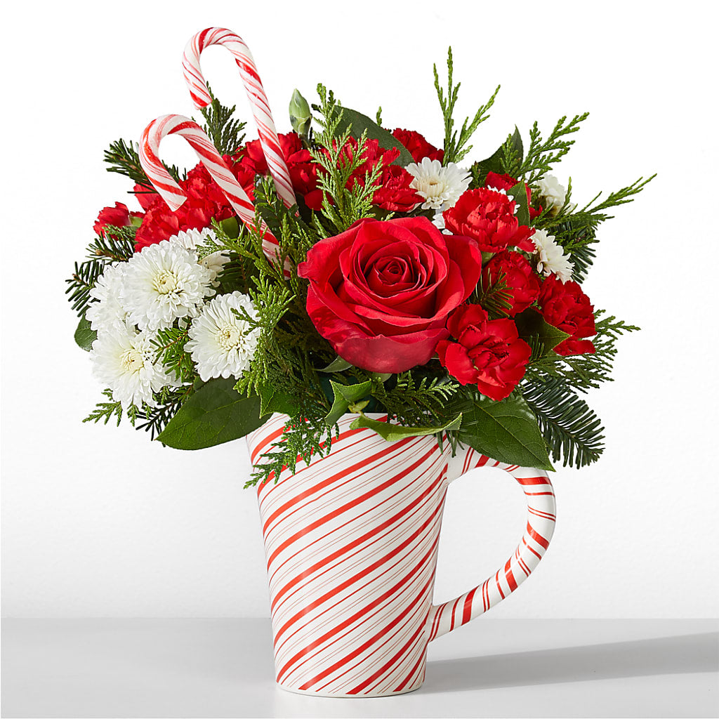 Peppermint Swirl Mug – Maison Blooms, Wesley Chapel FL