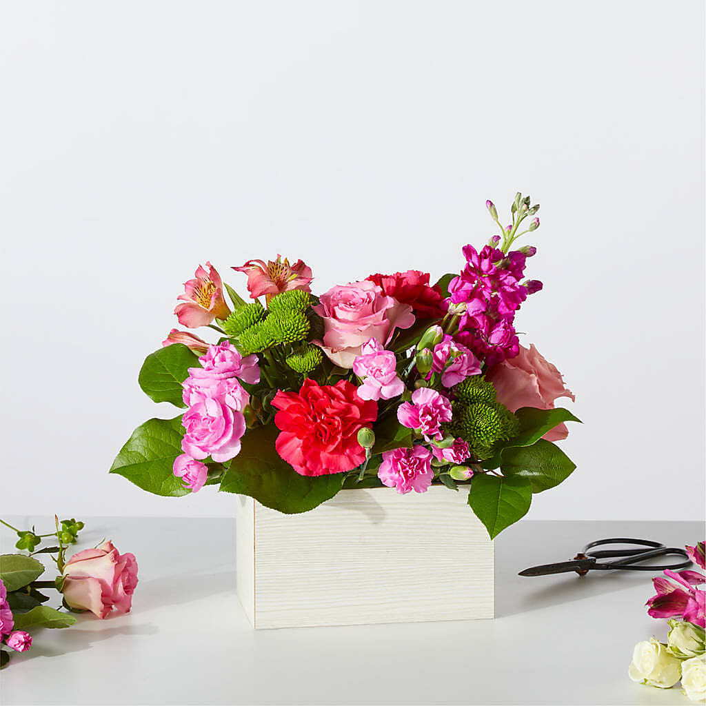 Sweetberry Box – A Florist Original – Maison Blooms, Wesley Chapel FL
