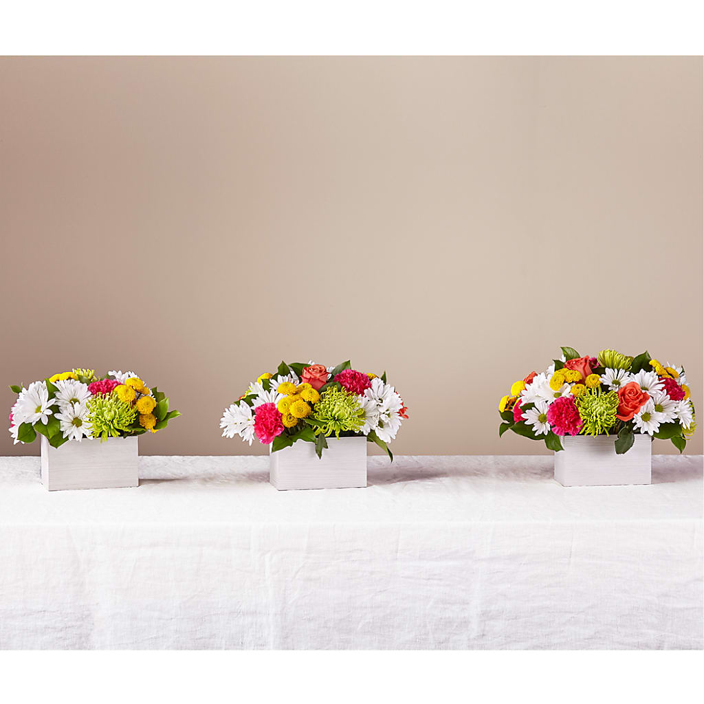 Sorbet Bouquet – Maison Blooms, Wesley Chapel FL