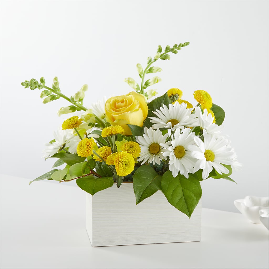 Sun Salutation Box Bouquet – Maison Blooms, Wesley Chapel FL