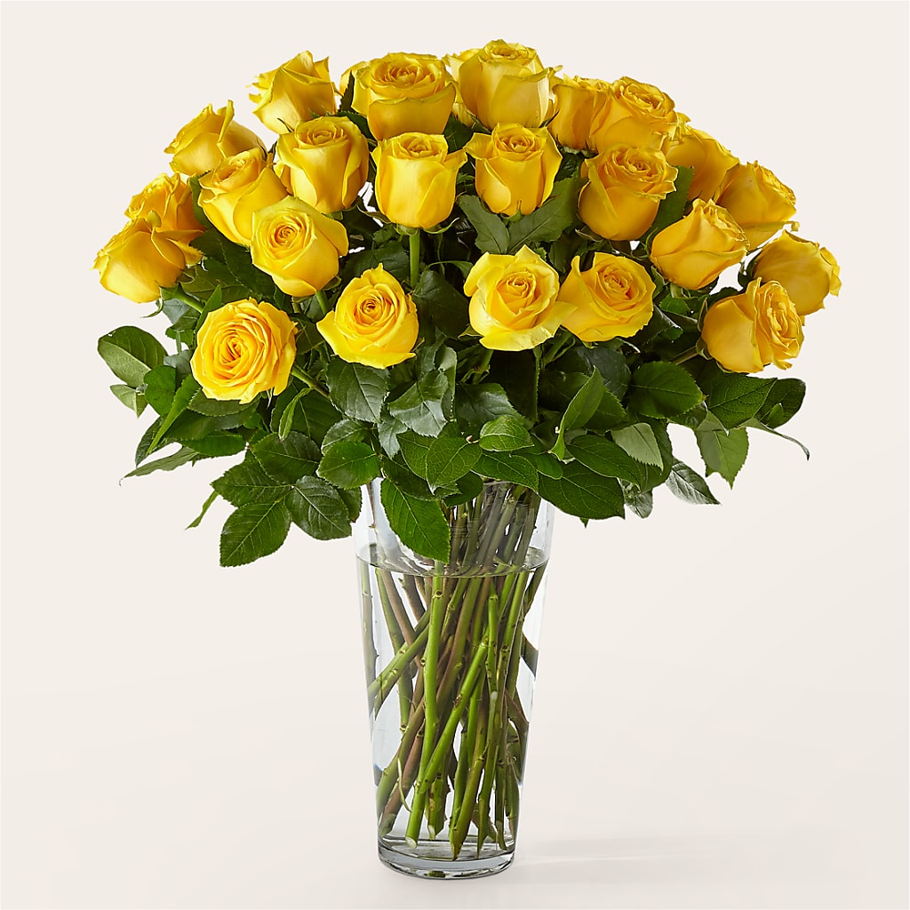 Long Stem Yellow Rose Bouquet – Maison Blooms, Wesley Chapel FL