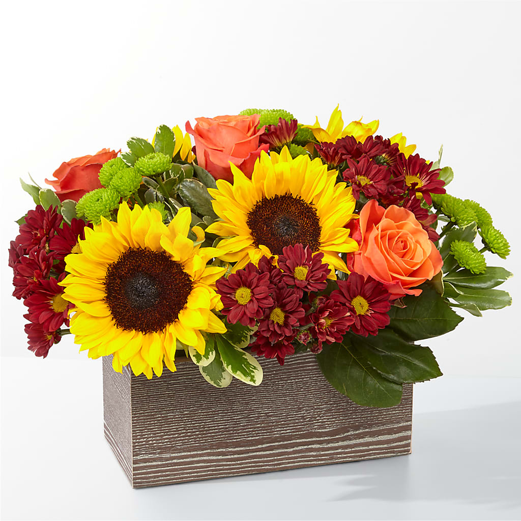 Happy Harvest Garden – Maison Blooms, Wesley Chapel FL