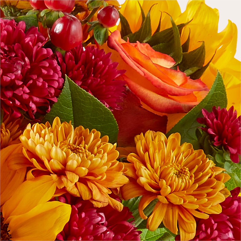 Sweater Season - A Florist Original – Maison Blooms, Wesley Chapel FL