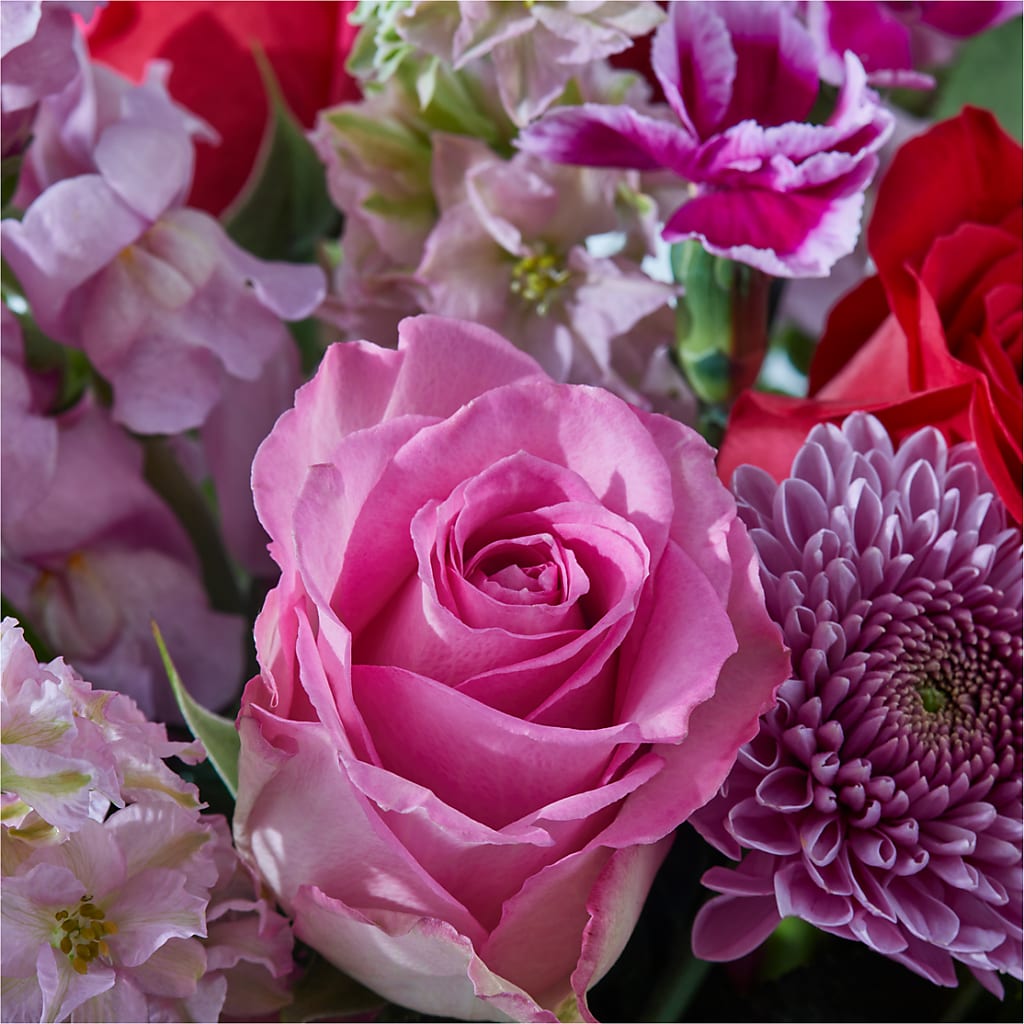 Better Together - A Luxury Florist Original – Maison Blooms, Wesley Chapel FL