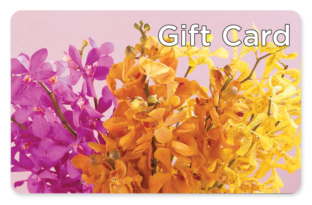 Gift Card – Maison Blooms, Wesley Chapel FL