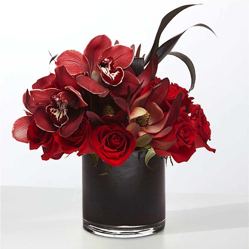 The Eclipse – Maison Blooms, Wesley Chapel FL