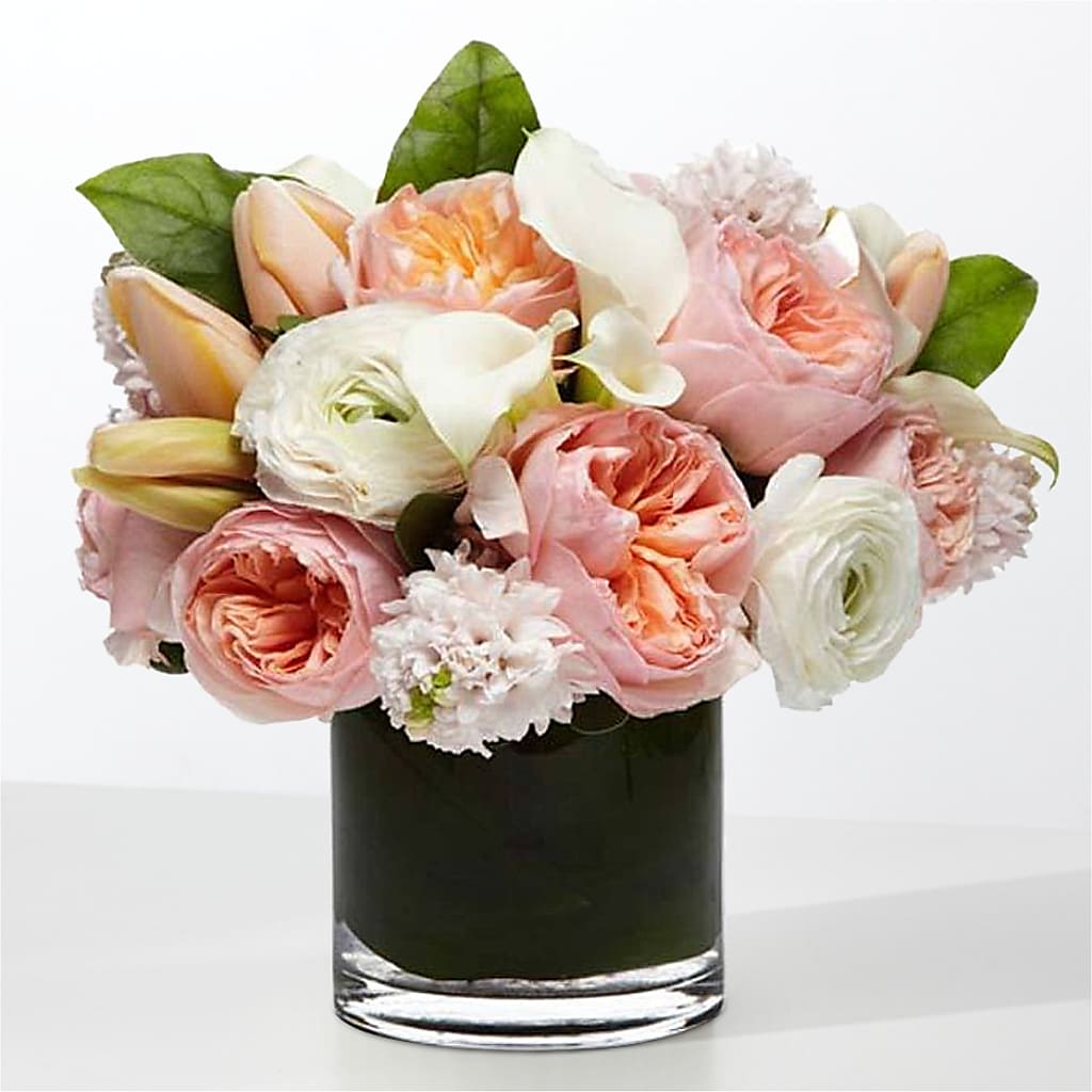 The Destiny – Maison Blooms, Wesley Chapel FL