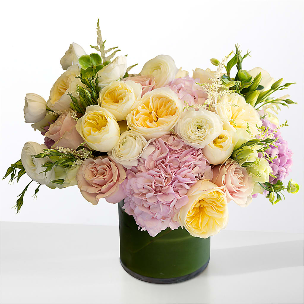 The Melody – Maison Blooms, Wesley Chapel FL