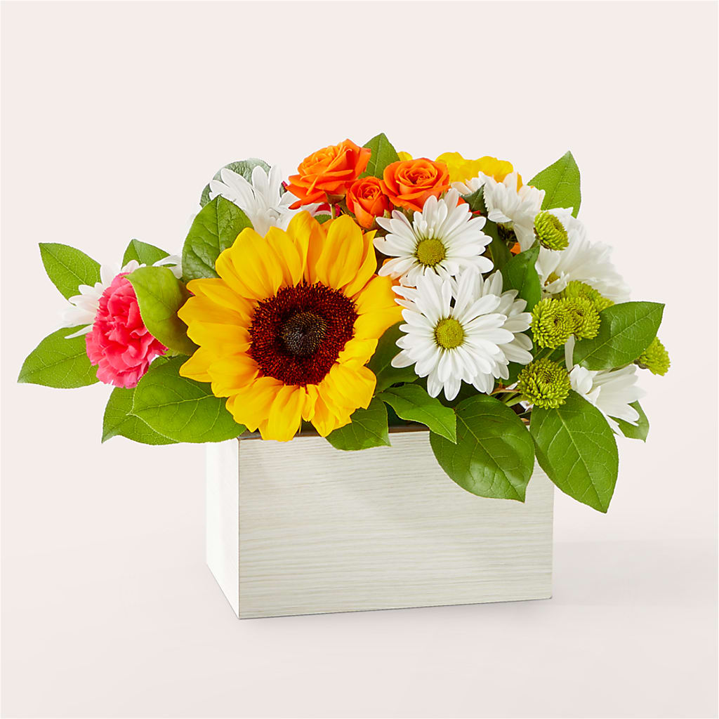 Sun-drenched Blooms Box Bouquet – Maison Blooms, Wesley Chapel FL
