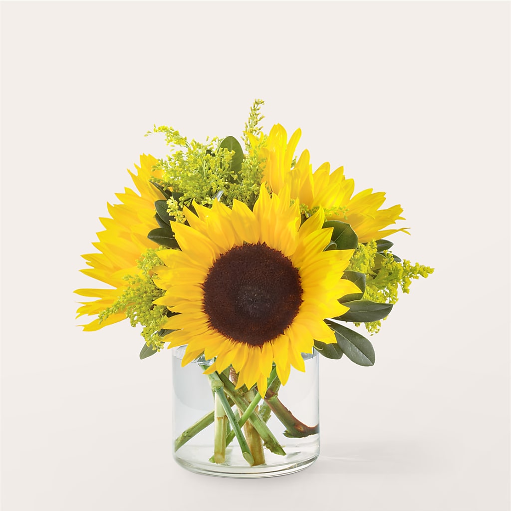 Beaming Sunflower Bouquet – Maison Blooms, Wesley Chapel FL