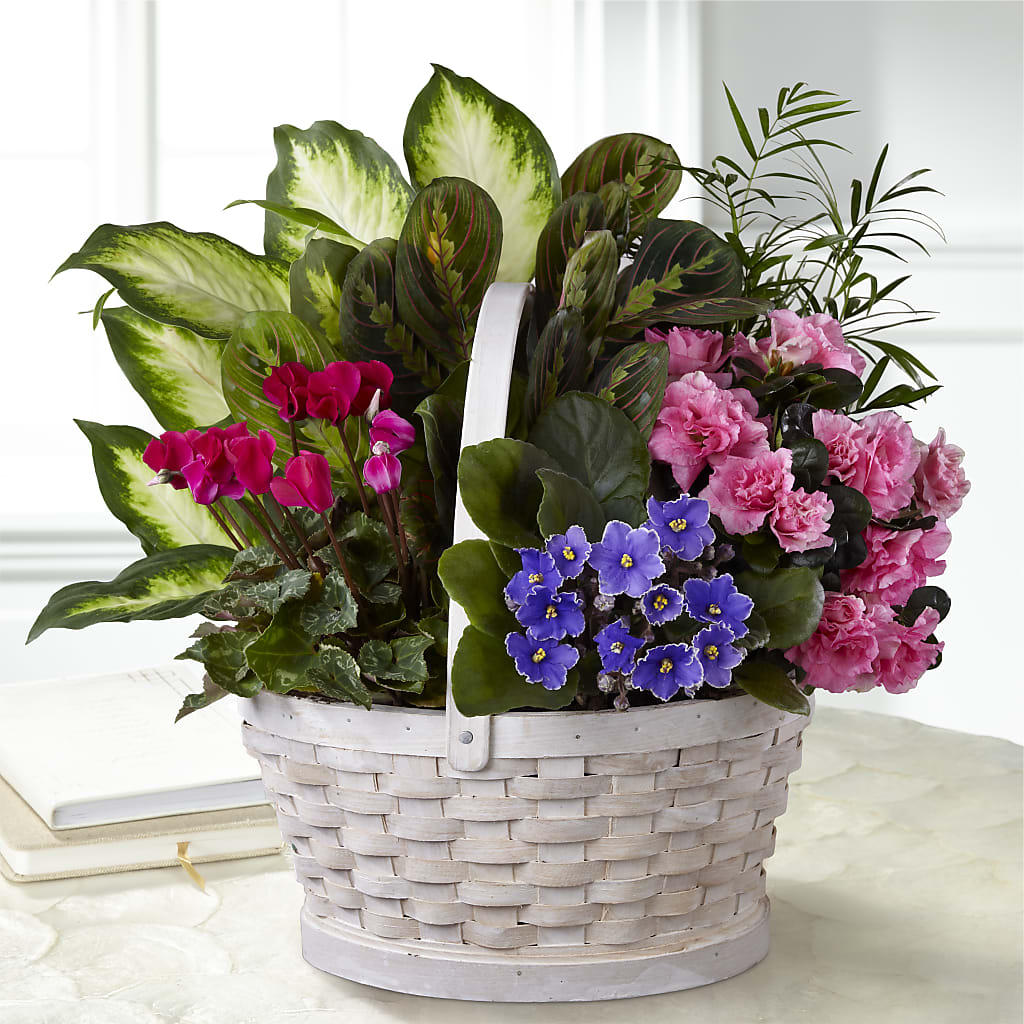 Peaceful Garden Planter – Maison Blooms, Wesley Chapel FL