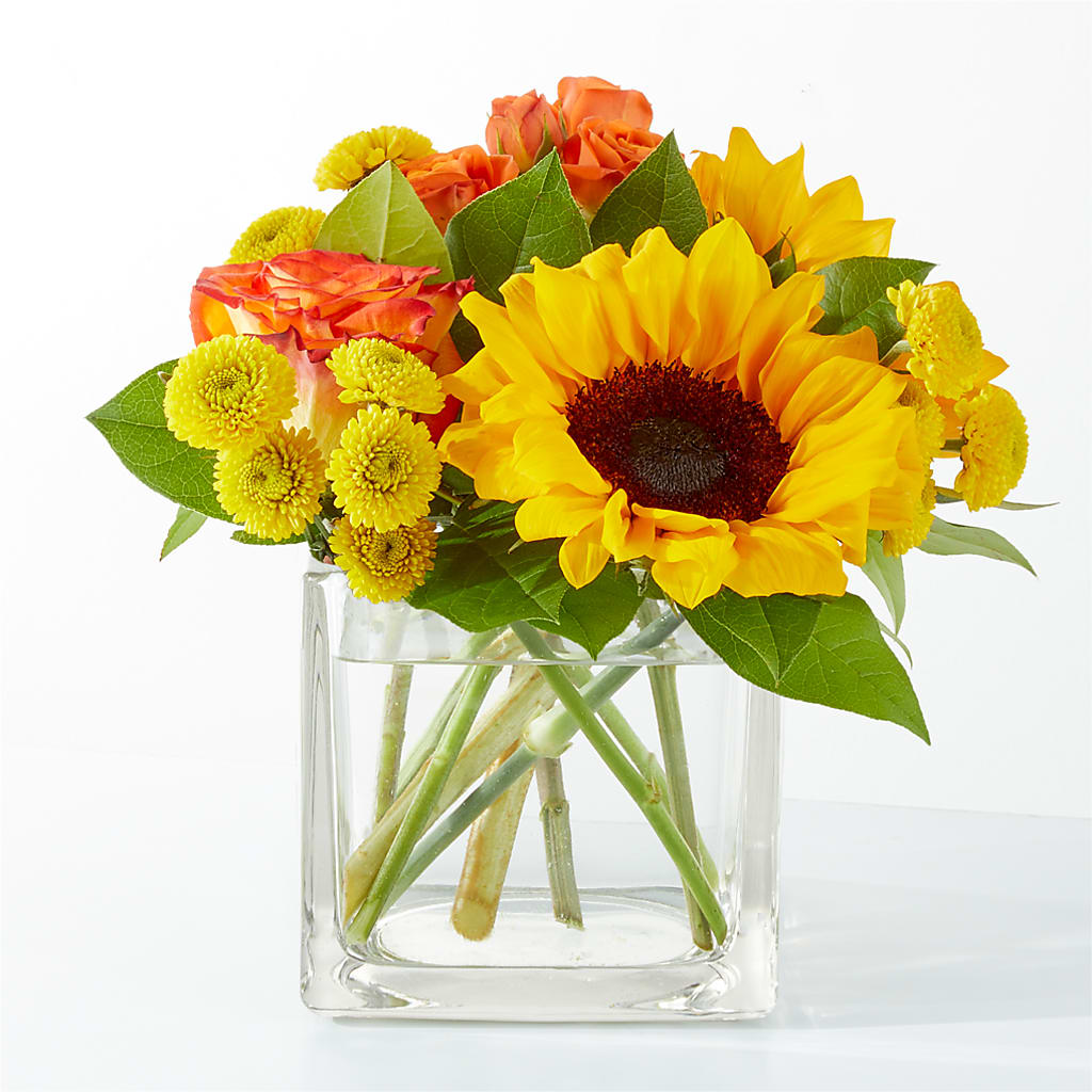 Picnic in the Park Bouquet – Maison Blooms, Wesley Chapel FL
