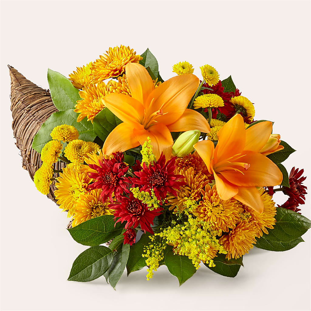 Feast of Color Cornucopia – Maison Blooms, Wesley Chapel FL