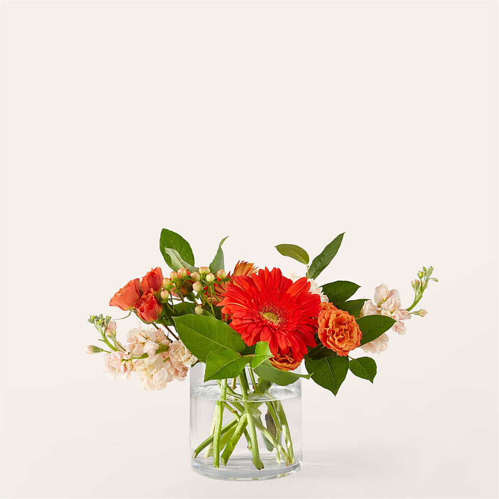 Paloma Please Bouquet – Maison Blooms, Wesley Chapel FL
