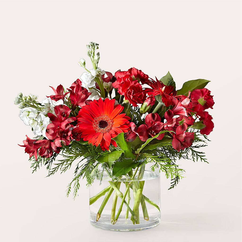 Holidaisy Bouquet – Maison Blooms, Wesley Chapel FL
