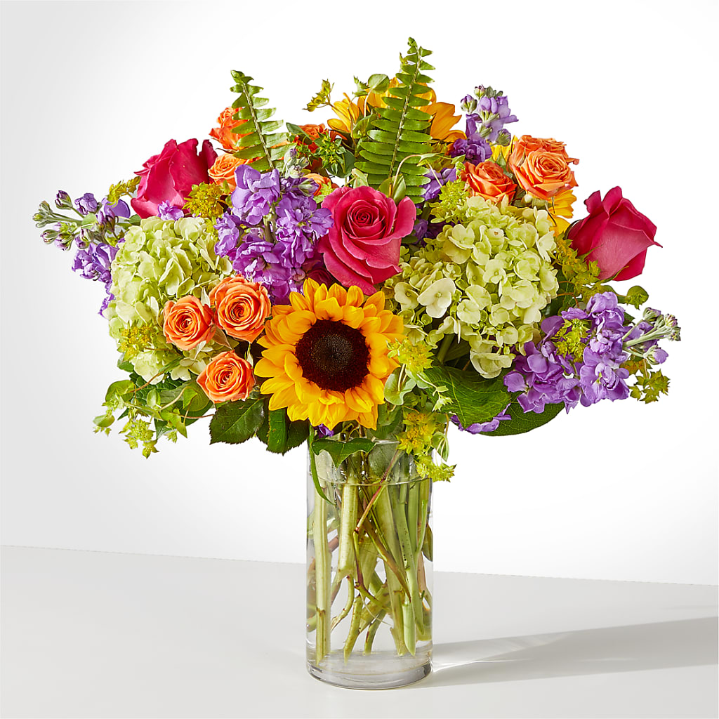 Vibrant Greetings Bouquet – Maison Blooms, Wesley Chapel FL