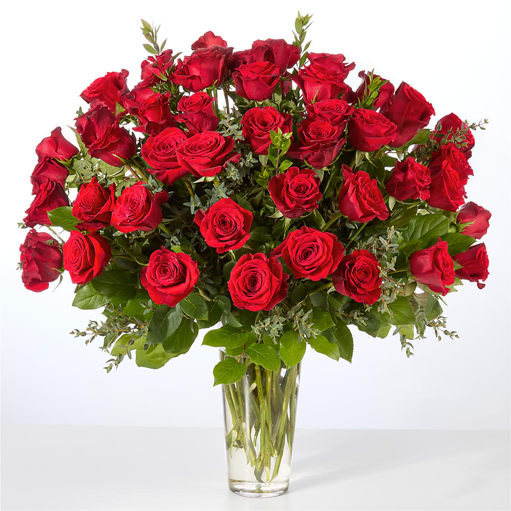 Forever Yours Fifty Stem Red Rose Bouquet – Maison Blooms, Wesley Chapel FL
