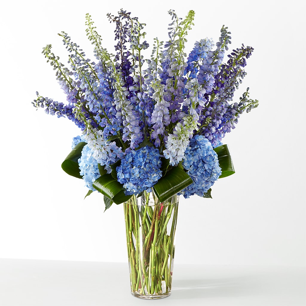 The Editorial – Maison Blooms, Wesley Chapel FL