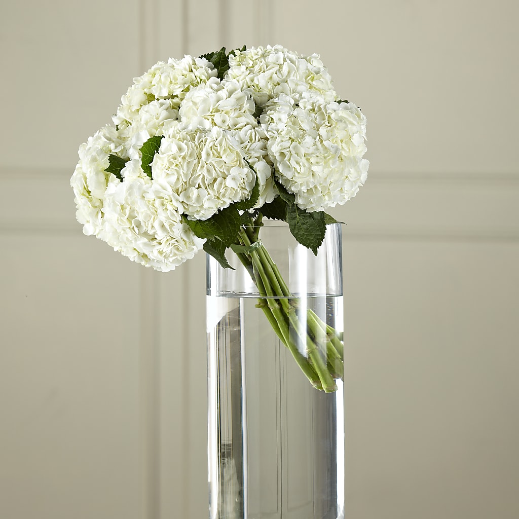 White Hydrangea Hand-Tied Bouquet – Maison Blooms, Wesley Chapel FL
