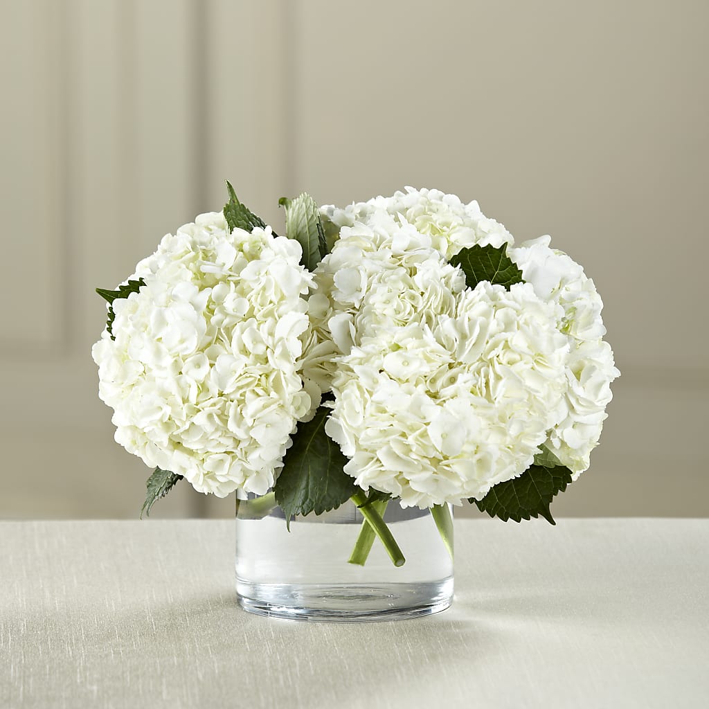 White Hydrangea Bouquet – Maison Blooms, Wesley Chapel FL