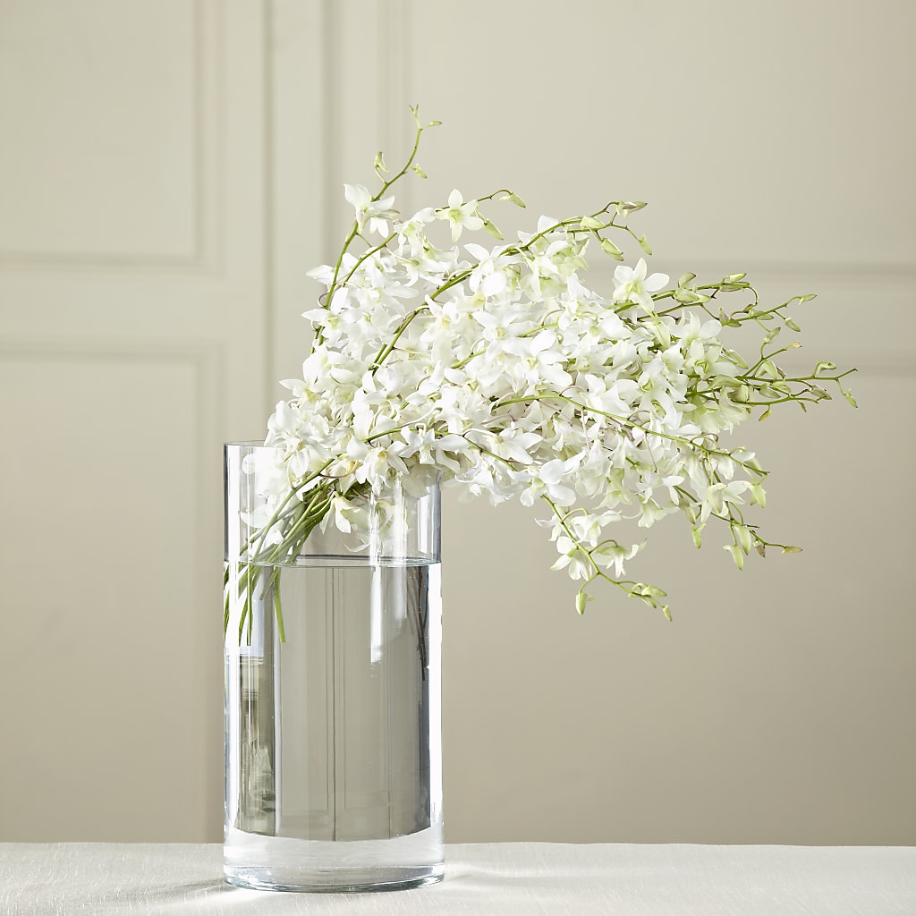 White Dendrobium Bouquet – Maison Blooms, Wesley Chapel FL
