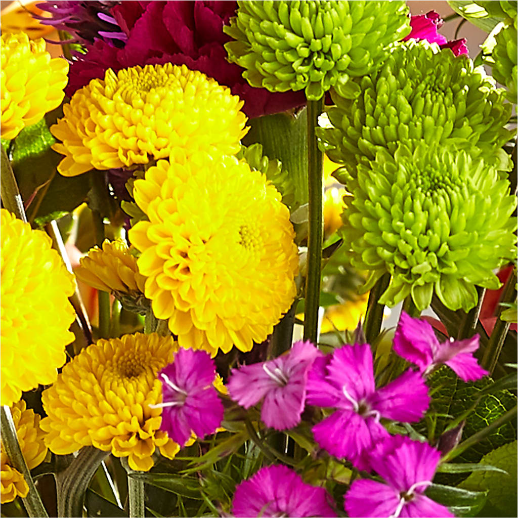 Bold & Bright – A Florist Original –  Maison Blooms, Wesley Chapel FL