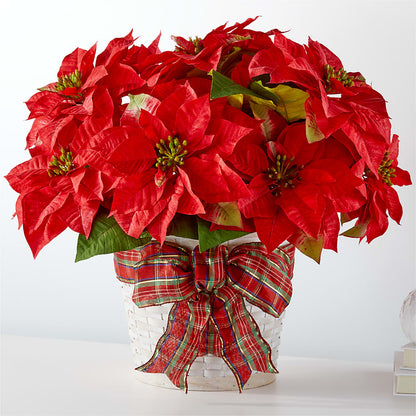 Happiest Holidays Poinsettia –  Maison Blooms, Wesley Chapel FL