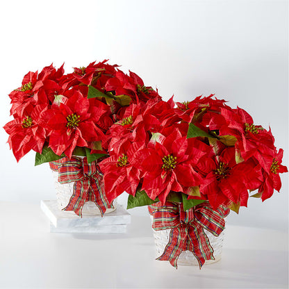 Happiest Holidays Poinsettia Bundle –  Maison Blooms, Wesley Chapel FL