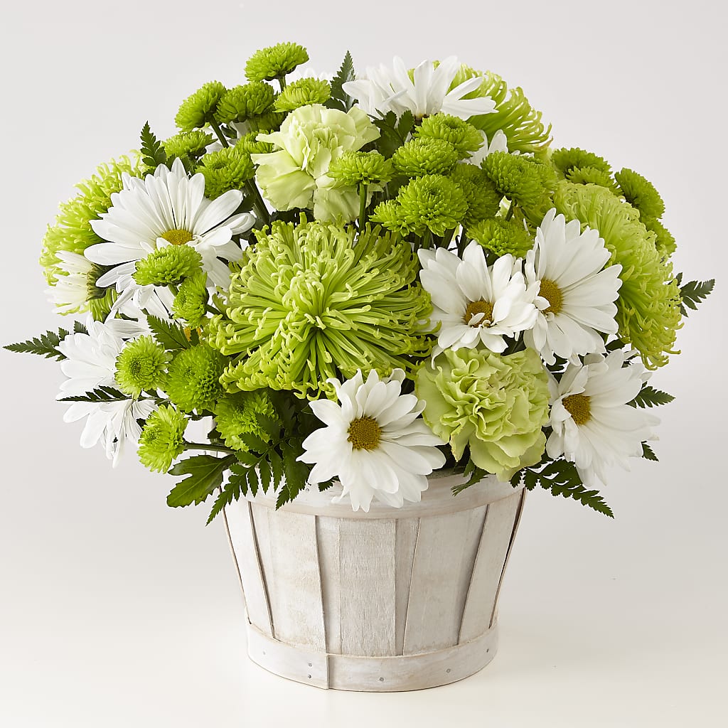 Lucky Charm Basket (Standard) –  Maison Blooms, Wesley Chapel FL