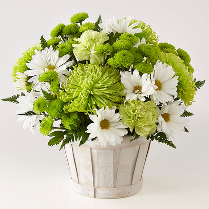 Lucky Charm Basket (Standard) –  Maison Blooms, Wesley Chapel FL