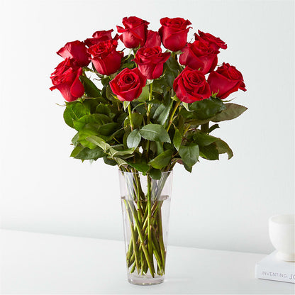Long Stem Red Rose Bouquet –  Maison Blooms, Wesley Chapel FL