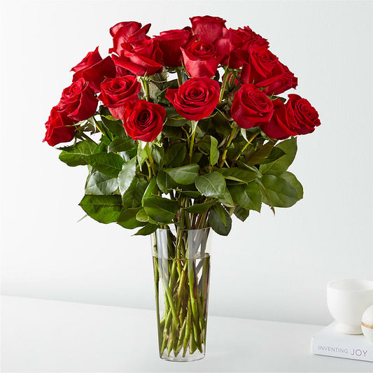 Long Stem Red Rose Bouquet –  Maison Blooms, Wesley Chapel FL
