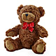 Adorable Plush Bear –  Maison Blooms, Wesley Chapel FL