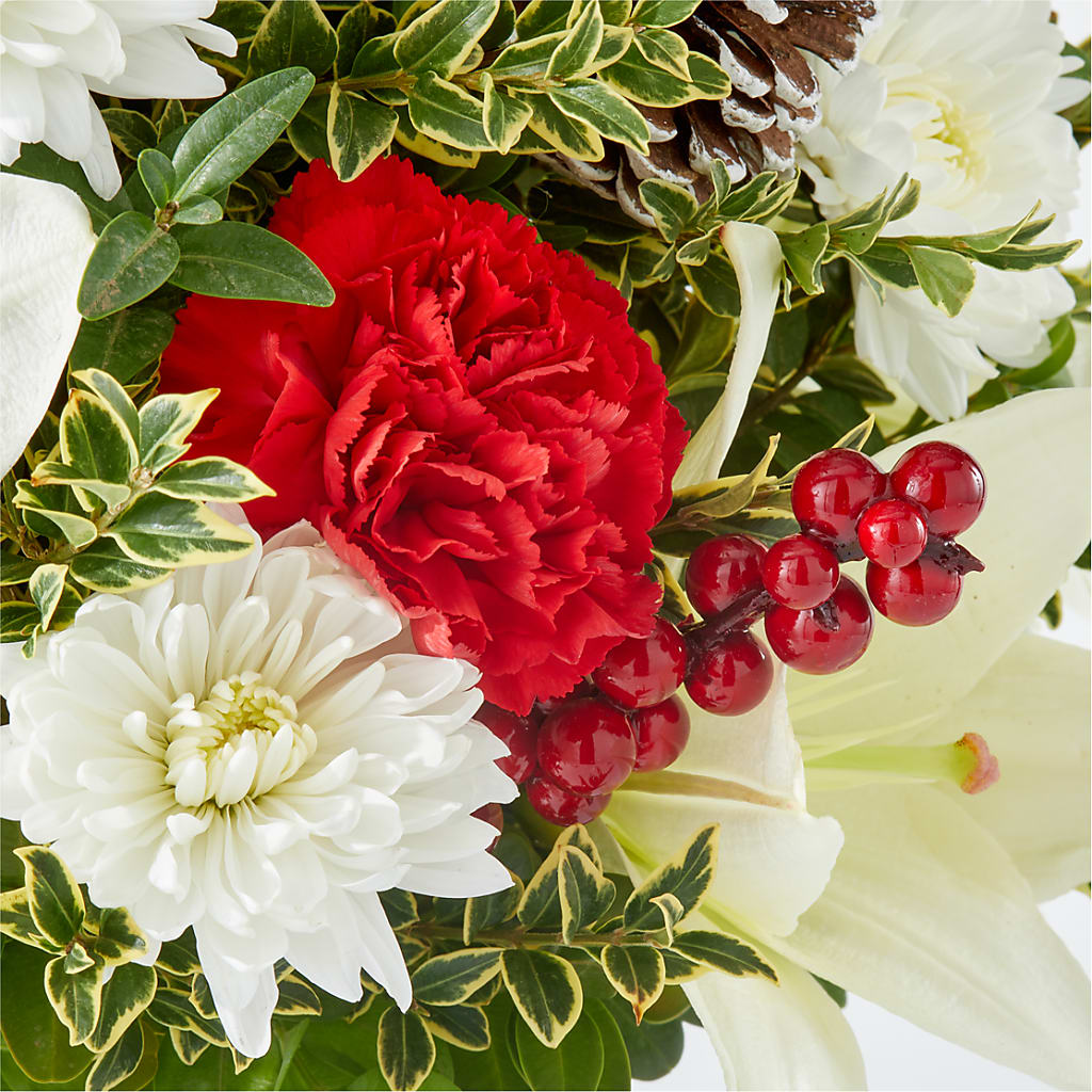 Festive Moments Tree –  Maison Blooms, Wesley Chapel FL