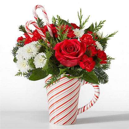Peppermint Swirl Mug –  Maison Blooms, Wesley Chapel FL