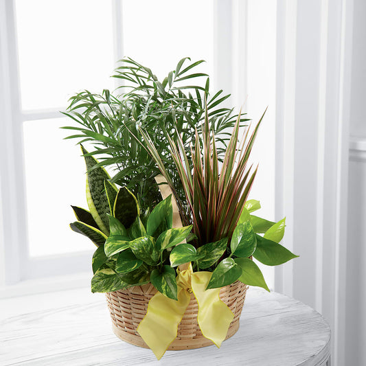 French Garden –  Maison Blooms, Wesley Chapel FL