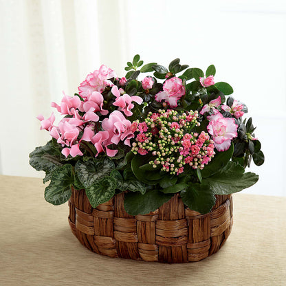 Pink Assortment –  Maison Blooms, Wesley Chapel FL