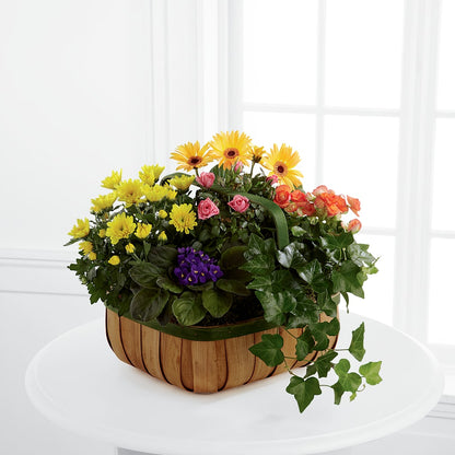 Gentle Blossoms Basket –  Maison Blooms, Wesley Chapel FL