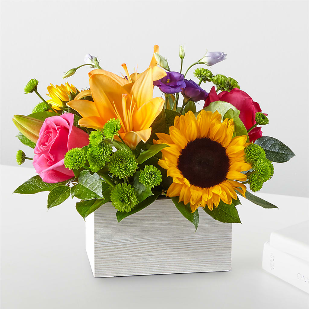 Best Day Box Bouquet –  Maison Blooms, Wesley Chapel FL