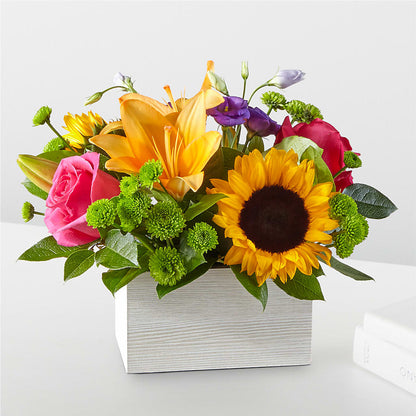 Best Day Box Bouquet –  Maison Blooms, Wesley Chapel FL