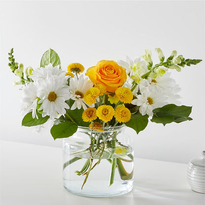 Sun Salutation Bouquet –  Maison Blooms, Wesley Chapel FL