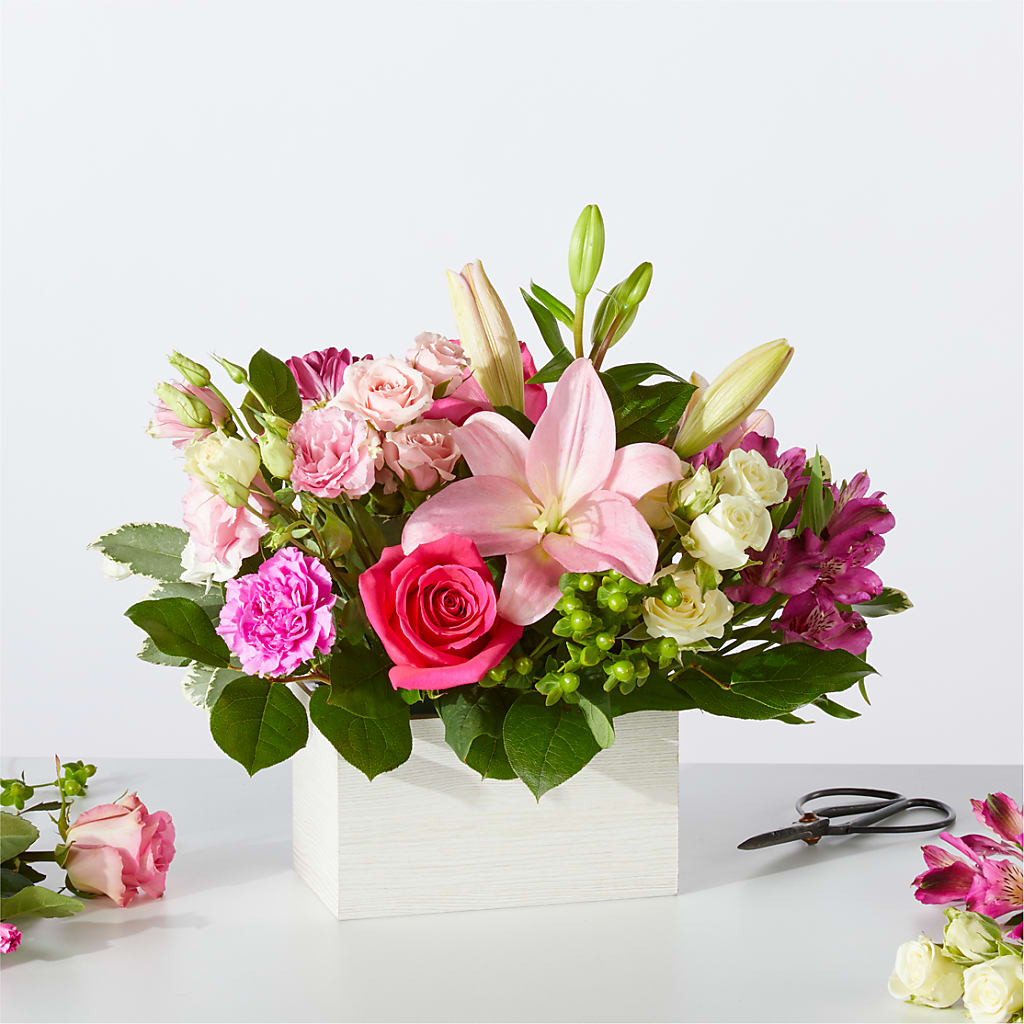 Sweetberry Box – A Florist Original –  Maison Blooms, Wesley Chapel FL