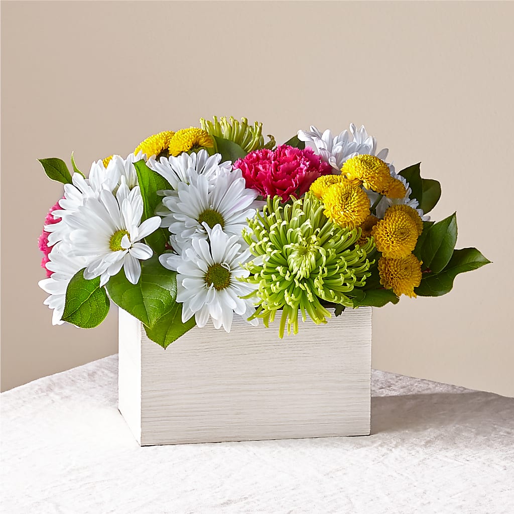 Sorbet Bouquet –  Maison Blooms, Wesley Chapel FL