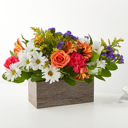 Oopsie Daisy Box Bouquet –  Maison Blooms, Wesley Chapel FL