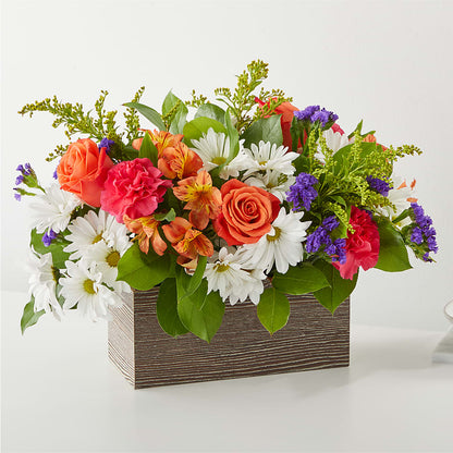 Oopsie Daisy Box Bouquet –  Maison Blooms, Wesley Chapel FL