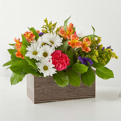 Oopsie Daisy Box Bouquet –  Maison Blooms, Wesley Chapel FL