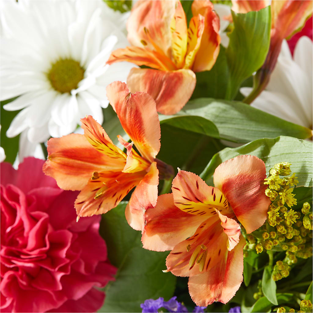 Oopsie Daisy Box Bouquet –  Maison Blooms, Wesley Chapel FL